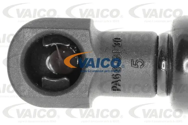 Gas Spring, boot/cargo area