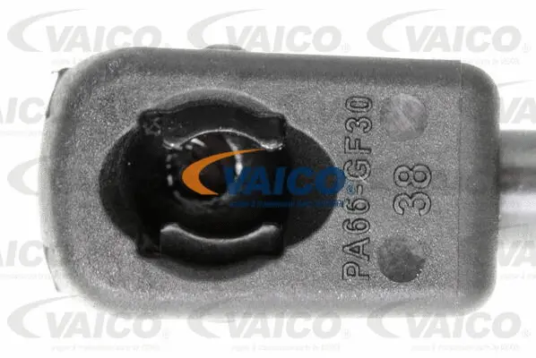 Gas Spring, boot/cargo area