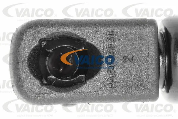 Gas Spring, boot/cargo area