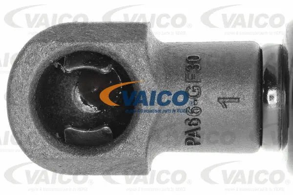 Gas Spring, boot/cargo area