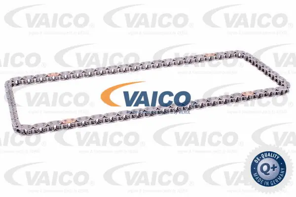 Timing Chain