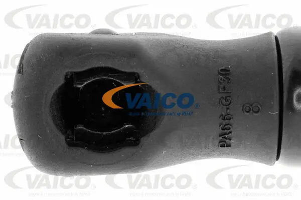 Gas Spring, boot/cargo area