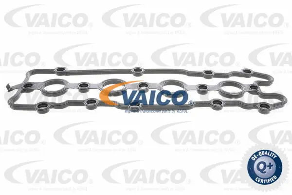 Gasket, cylinder head cover