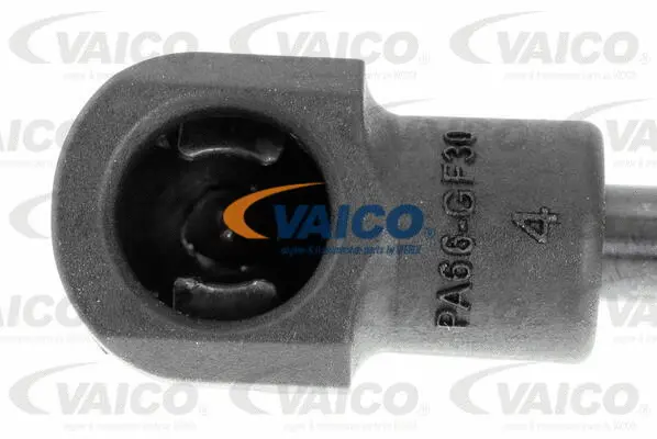 Gas Spring, boot/cargo area