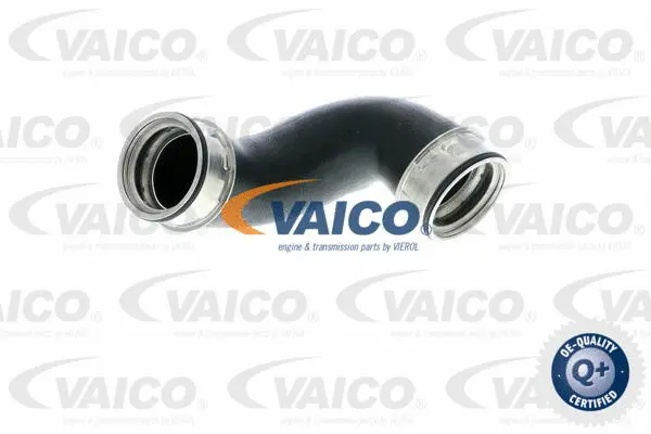 Charge Air Hose