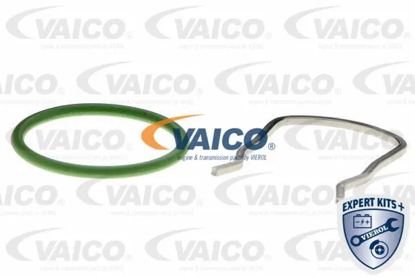 Hose, crankcase ventilation