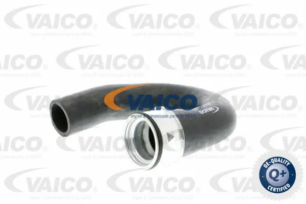 Charge Air Hose