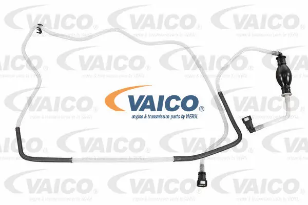 Fuel Line