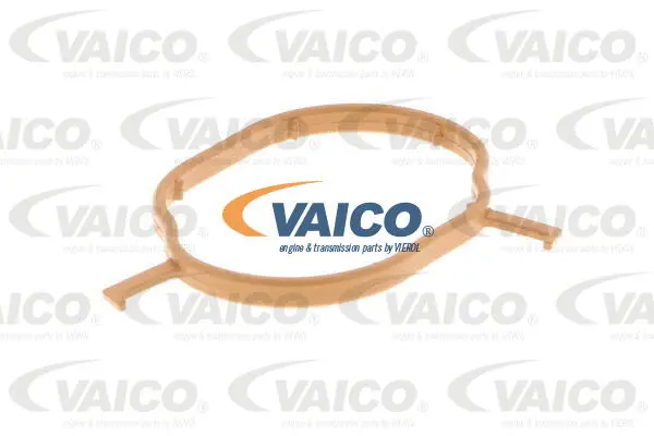 Coolant Flange