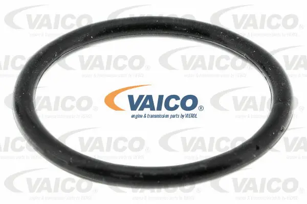Coolant Flange