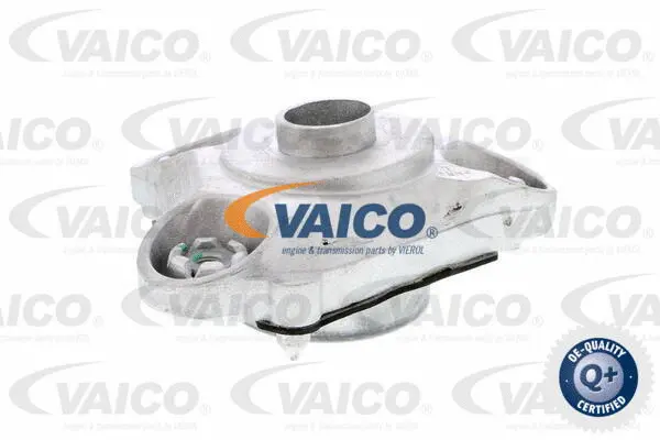 Suspension Strut Support Mount