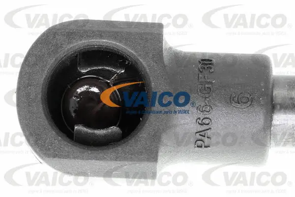 Gas Spring, boot/cargo area