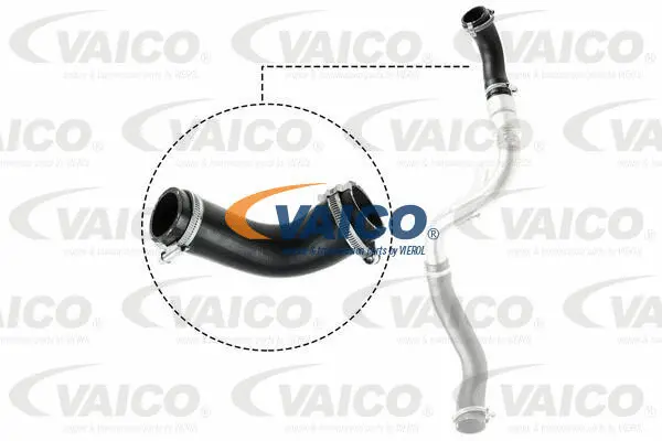Charge Air Hose