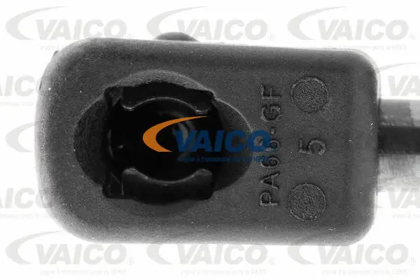 Gas Spring, bonnet