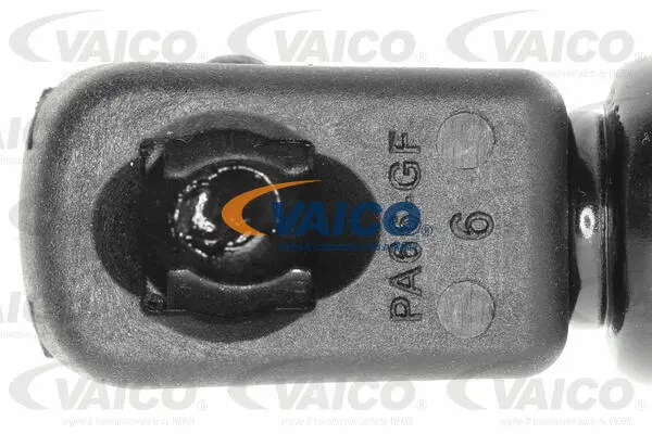 Gas Spring, boot/cargo area