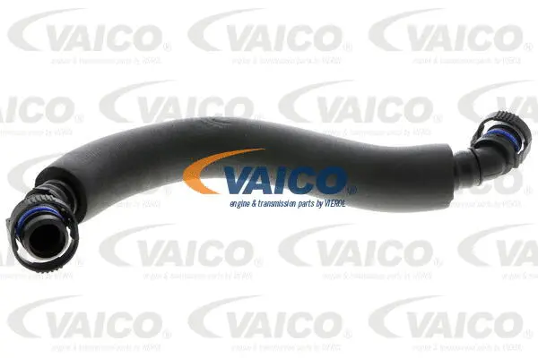 Hose, crankcase ventilation