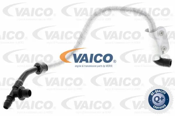 Vacuum Hose, braking system