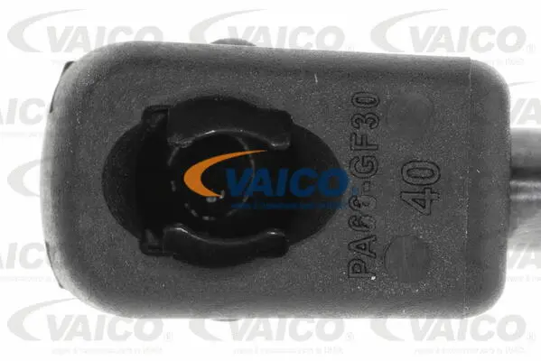 Gas Spring, boot/cargo area