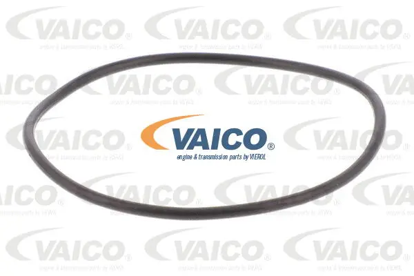 Hydraulic Filter, automatic transmission