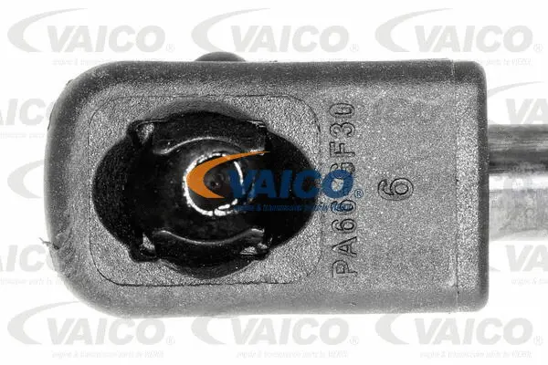 Gas Spring, boot/cargo area