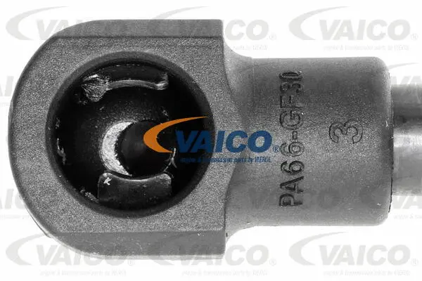 Gas Spring, boot/cargo area