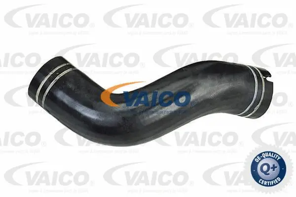 Charge Air Hose (V24-0695)