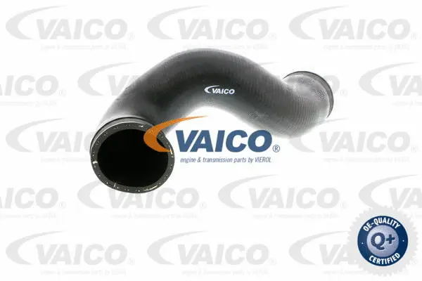 Charge Air Hose