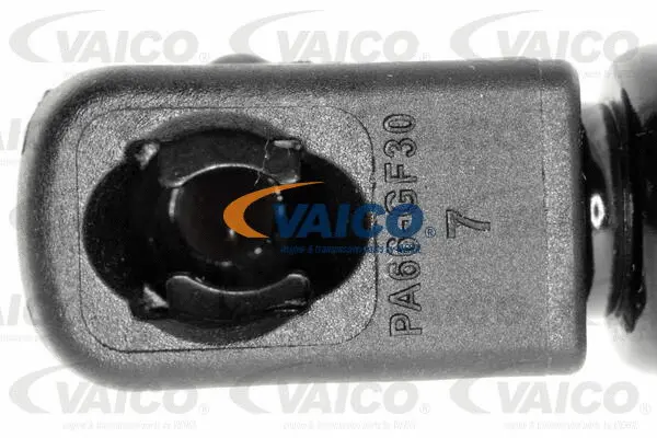 Gas Spring, boot/cargo area