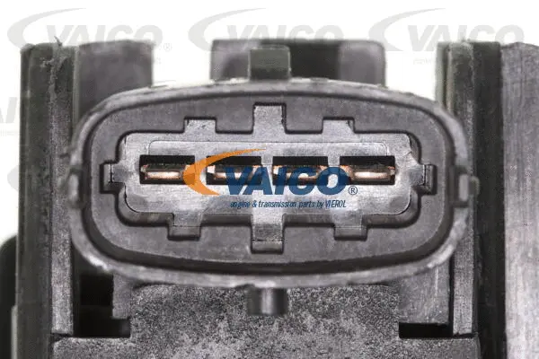 Intake Manifold Module