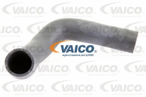 Charge Air Hose