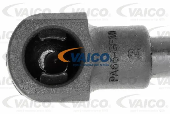 Gas Spring, boot/cargo area