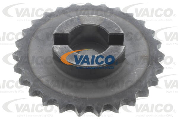 Gear/Sprocket, camshaft