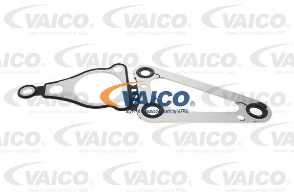 Gasket, timing case