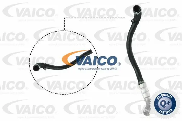 Charge Air Hose