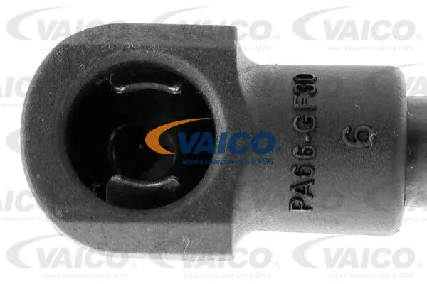 Gas Spring, boot/cargo area