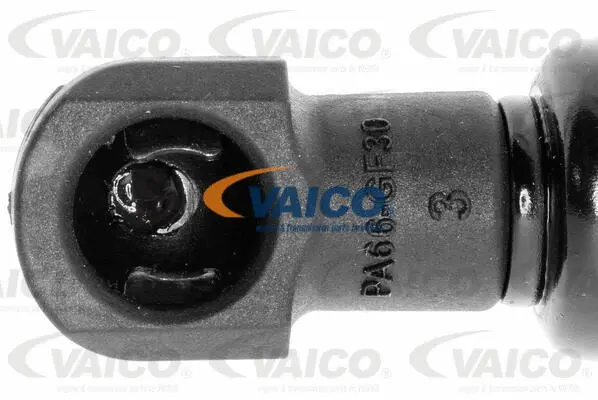 Gas Spring, boot/cargo area