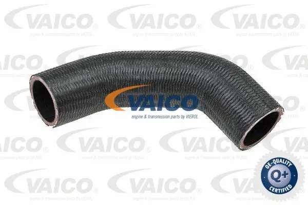 Charge Air Hose