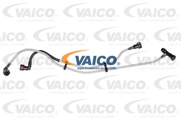 Fuel Line