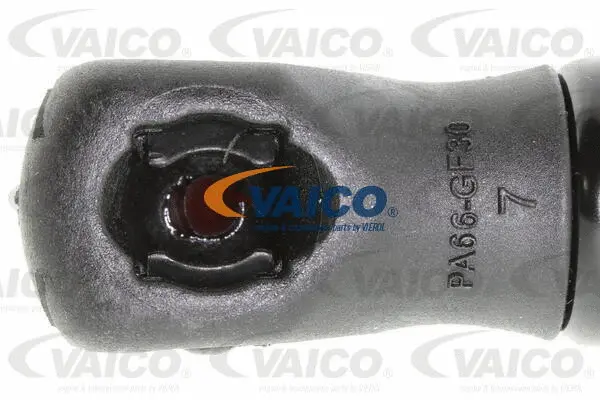 Gas Spring, boot/cargo area