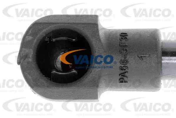 Gas Spring, boot/cargo area