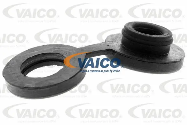 Bracket, muffler
