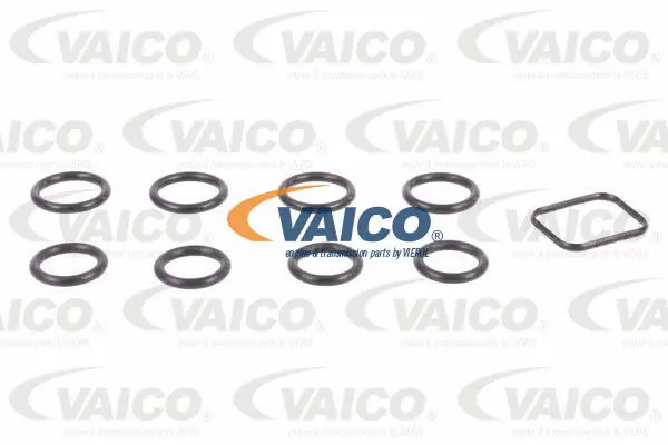 Intake Manifold Module