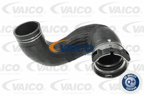 Charge Air Hose