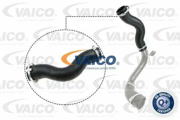 Charge Air Hose
