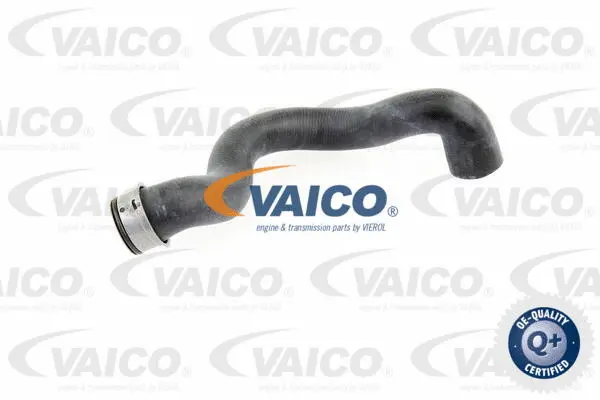 Radiator Hose