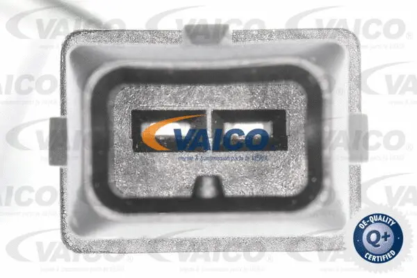 Control Valve, camshaft adjustment