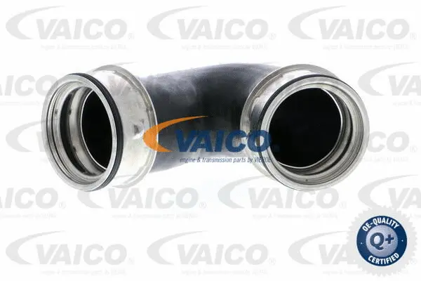 Charge Air Hose