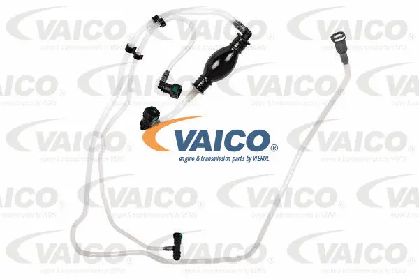 Fuel Line