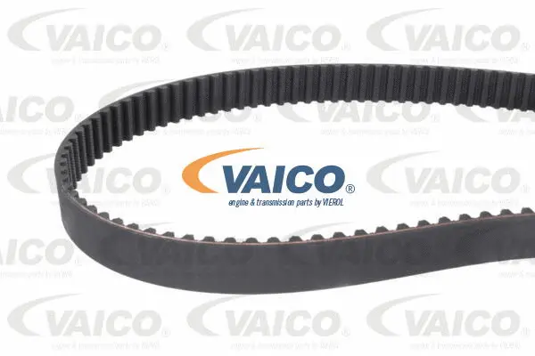 Timing Belt