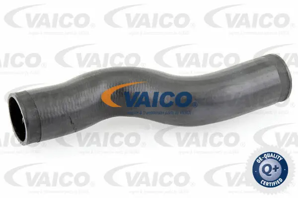 Charge Air Hose
